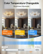 35.4" Ceiling Fans with Lights and Remote LED