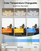 35.4" Ceiling Fans with Lights and Remote LED