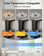 35.4" Ceiling Fans with Lights and Remote LED