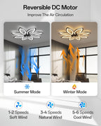 35.4" Ceiling Fans with Lights and Remote LED