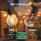 Zotoyi Festoon Lights