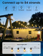 Zotoyi Festoon Lights