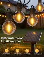 Zotoyi Festoon Lights
