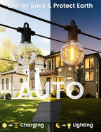 Zotoyi Festoon Lights