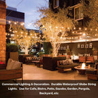 Zotoyi Festoon Lights