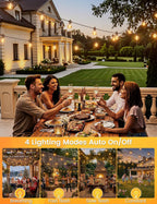 Zotoyi Festoon Lights