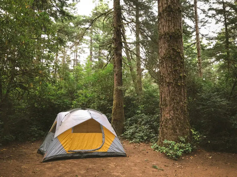 Camping - shop camping